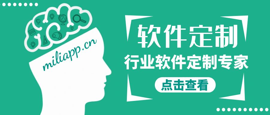 软件定制